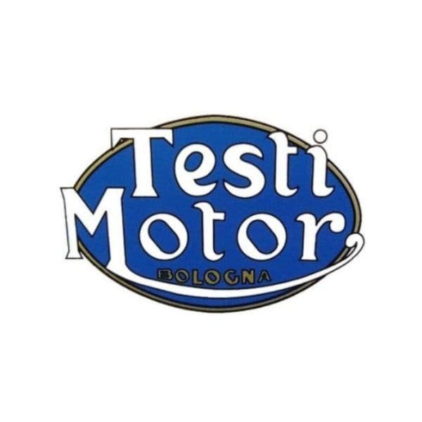 Testi